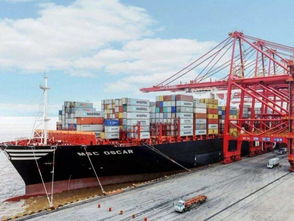 品味黃埔 不可錯過的特色美食與農(nóng)產(chǎn)品盛宴