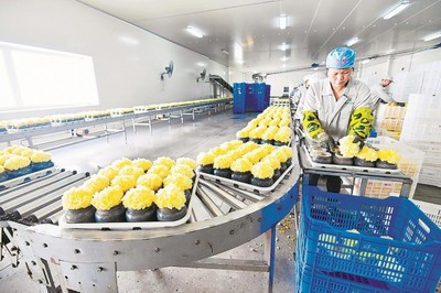 RCEP紅利顯現(xiàn) 福建農(nóng)產(chǎn)品出口迎增長機遇