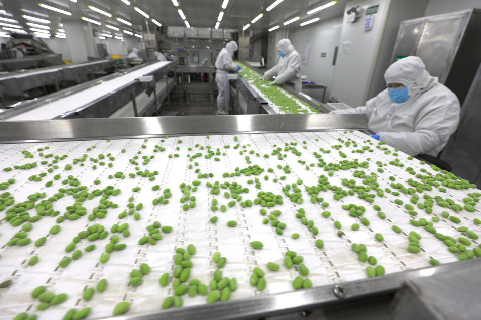 西秀區(qū)凈菜工廠 延伸蔬菜產(chǎn)業(yè)鏈，提升農(nóng)產(chǎn)品附加值