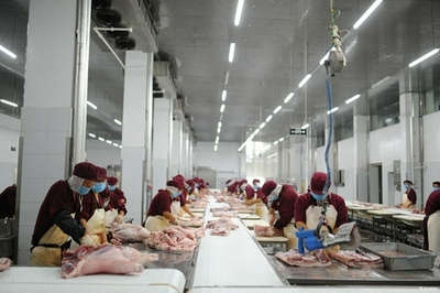 蒙城 綠色農(nóng)產(chǎn)品暢銷長三角，農(nóng)業(yè)產(chǎn)業(yè)高質量發(fā)展的新篇章