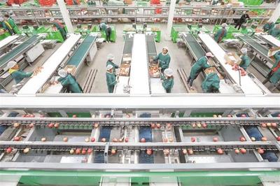 威寧 做強工業(yè)支撐 激活發(fā)展引擎——農(nóng)產(chǎn)品的生產(chǎn)轉型之路