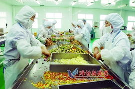 青濰對接 農業(yè)合作引領農產品生產新飛躍