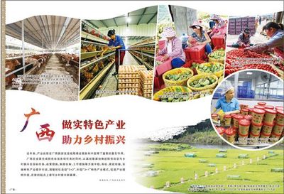 廣西 做實特色產業(yè)，激發(fā)農產品生產活力，助推鄉(xiāng)村振興