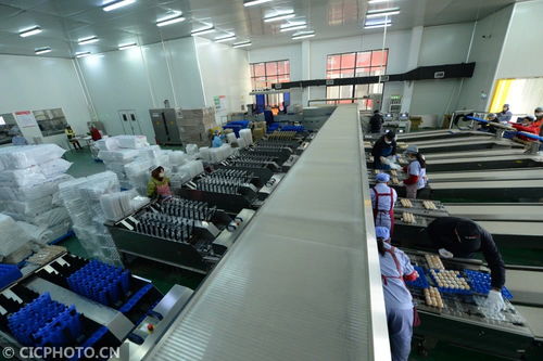 太倉農產品生產穩(wěn)定，市場供應有保障