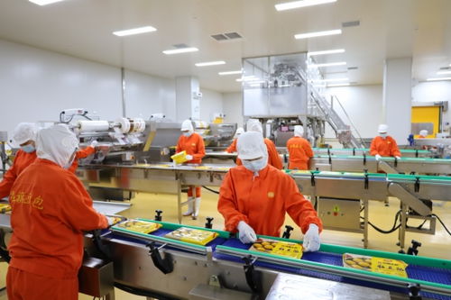 衡水農產品生產 從傳統(tǒng)耕作到現代化農業(yè)的轉型升級