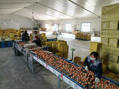 甘味農產品企業(yè)商標品牌與農產品生產的協同發(fā)展