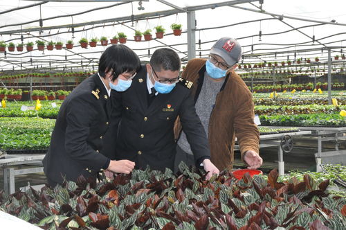 廣州農產品原材料進出口雙順暢，為農業(yè)生產注入新活力