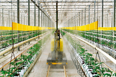 完善三大體系，筑牢農產品生產基石，助推鄉村產業振興