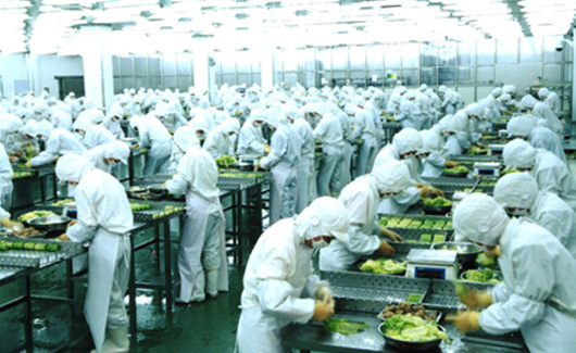 求索企業可持續 走進龍大，探訪生態農業產業鏈中的農產品生產